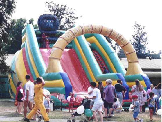 hire an inflatable slide